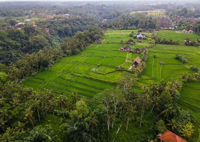 Taman Jiwa Ubud (Bali)